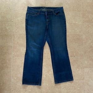 Old Navy Women’s Plus Size 22 The Flirt Jeans